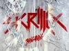 Skrillex-Bangarang_300x225