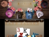 N3DS_GovernorOfPoker_03