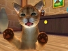 129574_CTR_P_ALKP_ILoveMyCats_ScreenshotTop1_ALL
