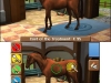 N3DS_HorseVet3D_gameplay_02