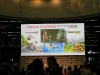 japan_expo_nintendo_booth_2012-26