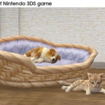 nintendogs_cats_s-4