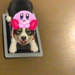 nintendogs_nintendo_ar-1