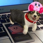 nintendogs_nintendo_ar-2