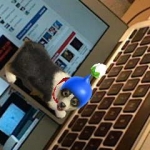 nintendogs_nintendo_ar-5