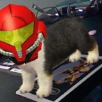 nintendogs_nintendo_ar-6