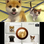 nintendogs_cats-1