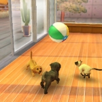 nintendogs_cats-2