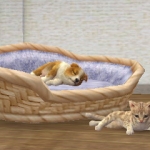 nintendogs_cats-3