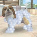 nintendogs_cats-4
