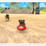 nintendogs_cats_r-12