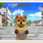 nintendogs_cats_r-13