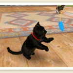 nintendogs_cats_r-14