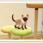 nintendogs_cats_r-15