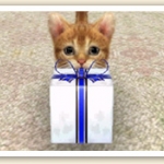 nintendogs_cats_r-16