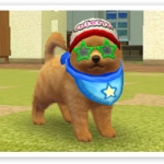 nintendogs_cats_r-2