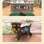 nintendogs_cats_r-5
