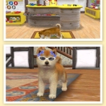 nintendogs_cats_r-6