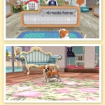 nintendogs_cats_r-7
