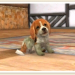 nintendogs_cats_r-8