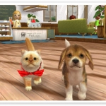 nintendogs_cats_r-9