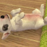 nintendogs__cats-10