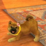 nintendogs__cats-11