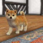 nintendogs__cats-13