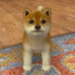 nintendogs__cats-14