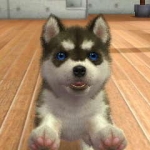 nintendogs__cats-16