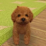 nintendogs__cats-17