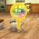 nintendogs__cats-18