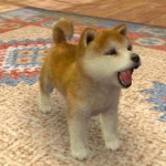 nintendogs__cats-2