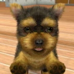 nintendogs__cats-20