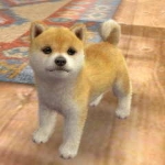nintendogs__cats-4