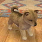 nintendogs__cats-6