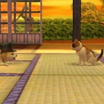 nintendogs__cats-7