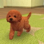 nintendogs__cats-8