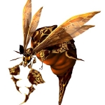 68338_sx3_c_g_heavy_h_ad_kopie