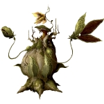 68348_sx3_c_g_nepenthes_m_ad_kopie