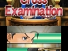 Cross_Examination_bmp_jpgcopy