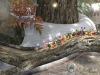 WiiU_Pikmin3_scrn01_E3