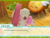 pokemon_dungeon_3ds-15