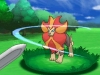 pokemon_xy_doublade-4