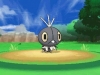 pokemon_x_y-8
