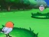 pokemon_x_y_s-12