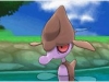 pokemon_xy-10