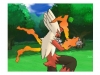 pokemon_x_y-29