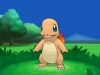 pokemon_xy-3