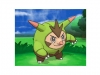 pokemon_xy-3